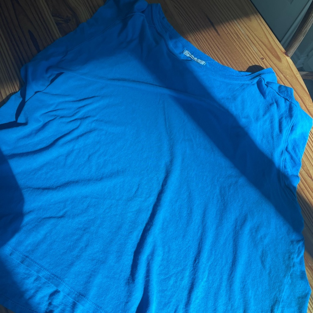 Blue free people top
